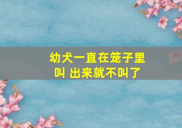 幼犬一直在笼子里叫 出来就不叫了